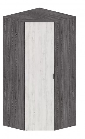 Шкаф Шаде ШК-2910 в Мегионе - megion.mebel-tymen.ru | фото