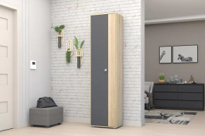 Шкаф ШК-01 Монако в Мегионе - megion.mebel-tymen.ru | фото