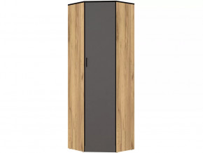 Шкаф угловой без зеркала Ольга-Лофт 9.1 в Мегионе - megion.mebel-tymen.ru | фото