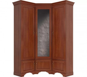 Шкаф угловой Kentaki S320-SZFN5D каштан в Мегионе - megion.mebel-tymen.ru | фото