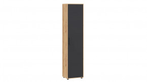 Шкаф «Витра» тип 1 Дуб Крафт золотой, Антрацит в Мегионе - megion.mebel-tymen.ru | фото