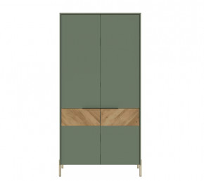SIENA шкаф SZF2D (Дымчатый зеленый/Дуб вотан) в Мегионе - megion.mebel-tymen.ru | фото