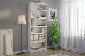 Стеллаж Бильд в Мегионе - megion.mebel-tymen.ru | фото