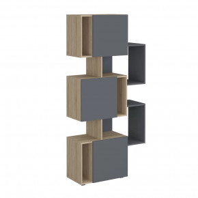 Стеллаж Дублин в Мегионе - megion.mebel-tymen.ru | фото