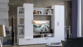 Стенка «Дакота» Белый Ясень в Мегионе - megion.mebel-tymen.ru | фото