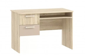 Стол для компьютера НМ 009.19-05 М2 Акварель в Мегионе - megion.mebel-tymen.ru | фото