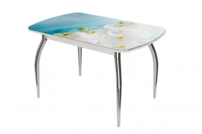 Стол овальный Бостон-2 Белая орхидея, 1100*700 мм, хром триумф в Мегионе - megion.mebel-tymen.ru | фото