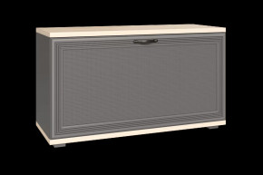 Тумба для обуви ТБ-1041 Карина в Мегионе - megion.mebel-tymen.ru | фото