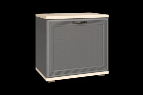 Тумба для обуви ТБ-1042 Карина в Мегионе - megion.mebel-tymen.ru | фото