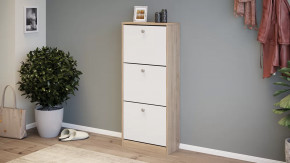 Тумба для обуви «Тетра» Тип 1 Исп. 2 в Мегионе - megion.mebel-tymen.ru | фото