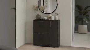 Тумба для обуви Тип 15 Антрацит в Мегионе - megion.mebel-tymen.ru | фото